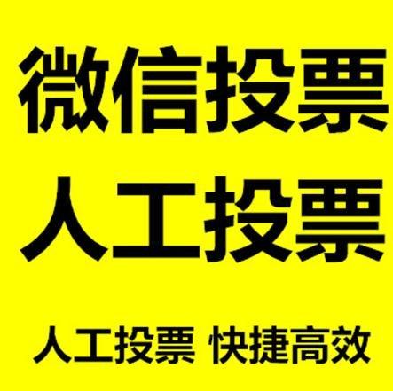 丽水市微信投票哪个速度快？