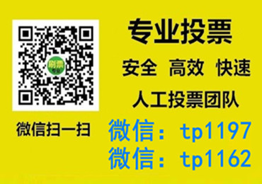 丽水市微信手动投票费多少钱让我告诉你微信投了多少